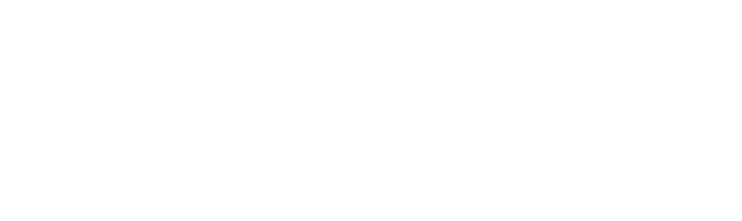 NINA - BNB MUSIC의 첫 번째 글로벌 아티스트